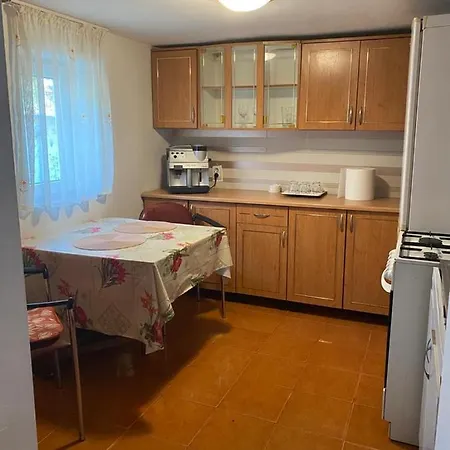 Casa Ionela Dom wakacyjny *