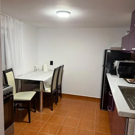 Casa Ionela Holiday home *